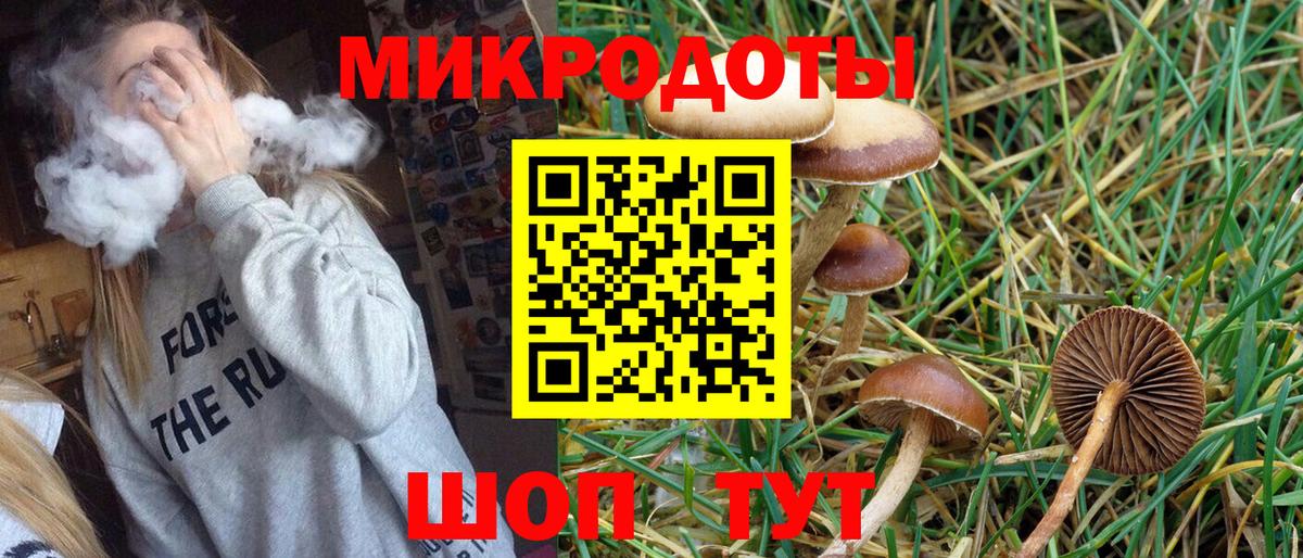 Псилоцибиновые грибы ЛСД Новочеркасск