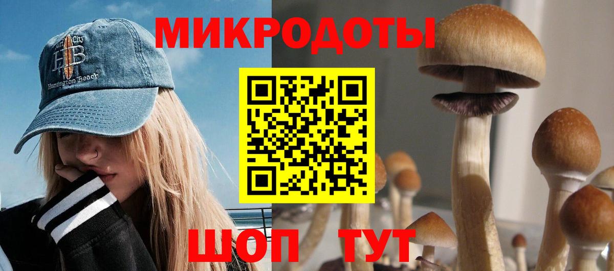 Новочеркасск  Галлюциногенные грибы Magic Shrooms  Галлюциногенные грибы Magic Shrooms  Вход с VPN 